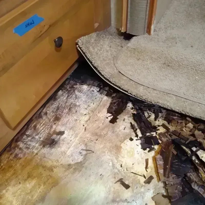 Best Wood Floor Water Damage Service in Liberty City, TX